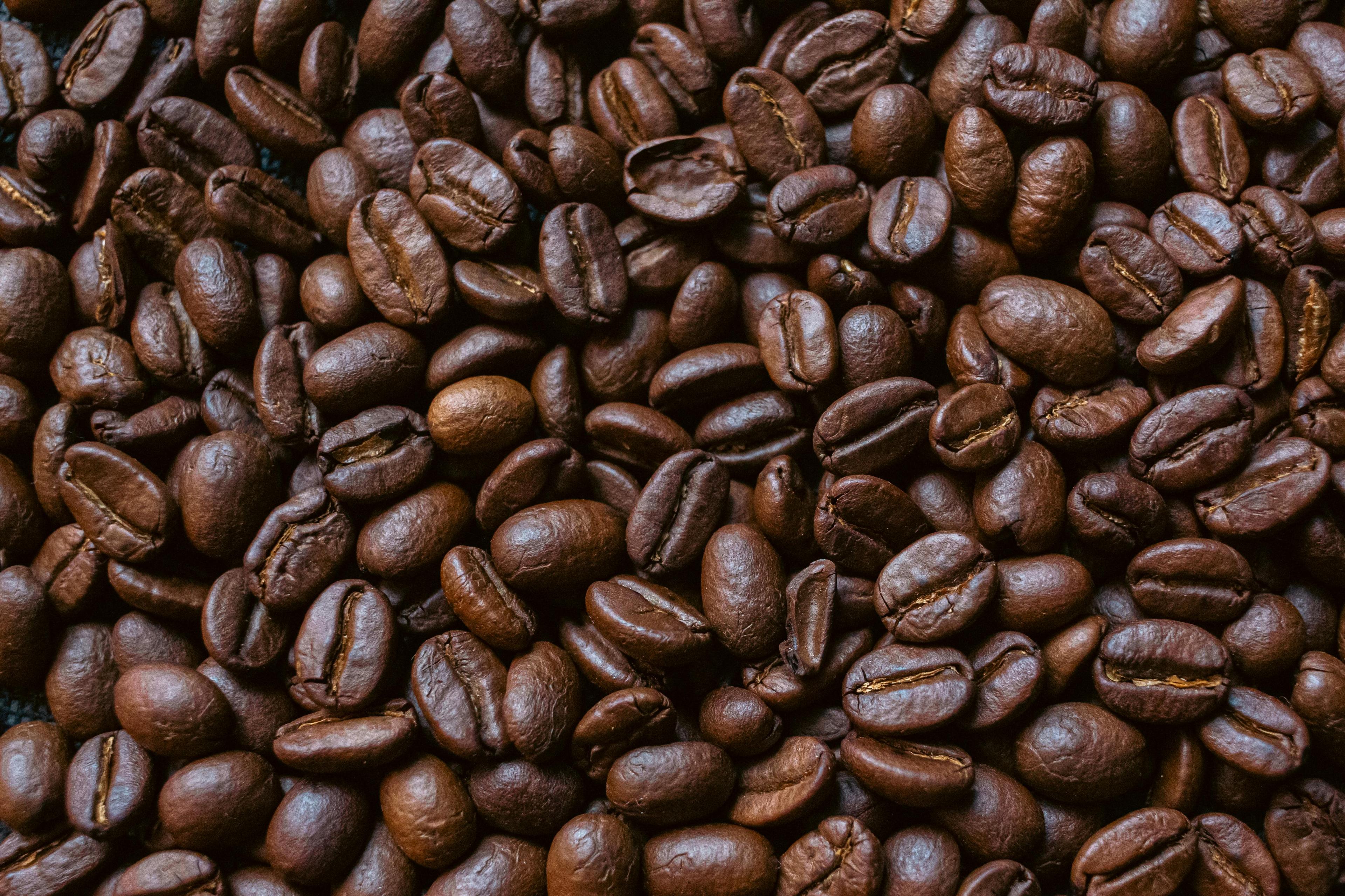 Coffee farm background